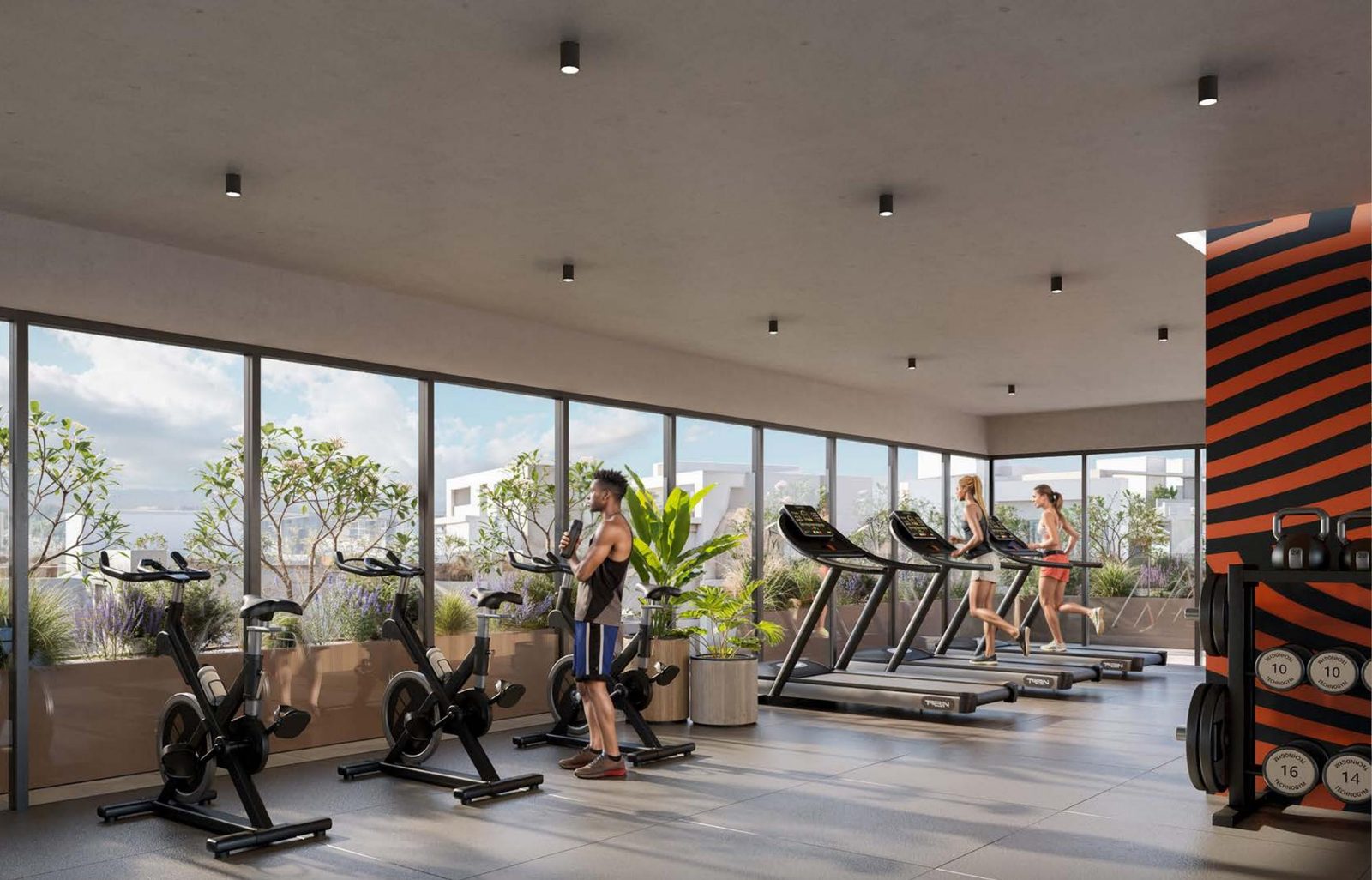 Sunrise gym